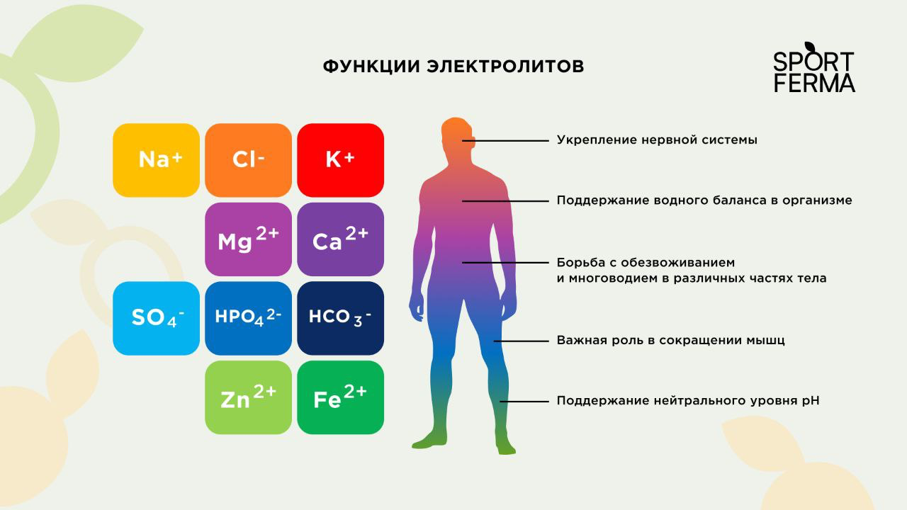 Исследуем электролиты - Интернет-магазин Спорт Ферма